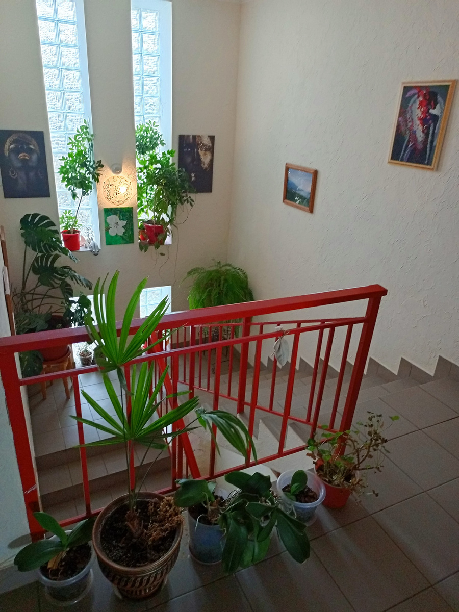 Вот эту пальмочку мне советовали выбросить. Но не бойся, я тебя не выброшу! Мы ещё поборемся! 😆