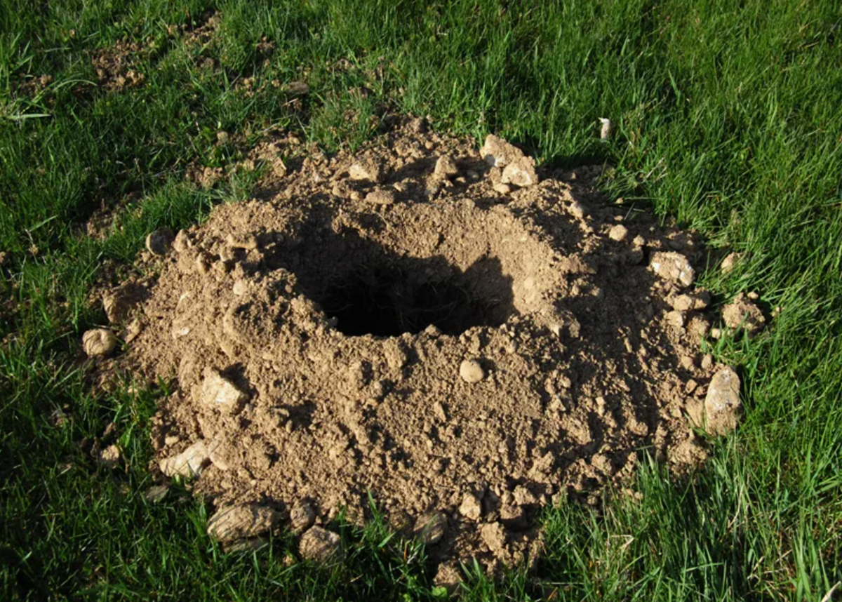 Источник фото: pinterest.com