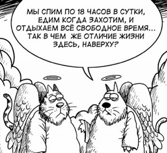 Источник Яндекс картинки