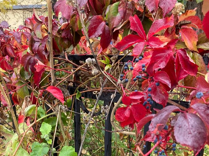 Снято когда-то давно. Фото автора