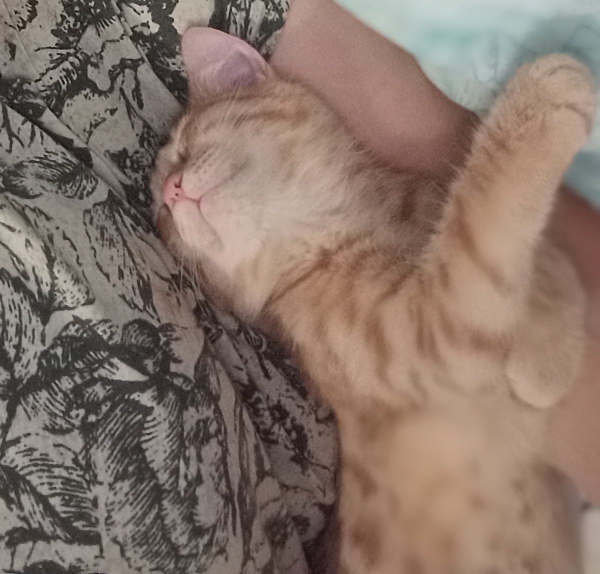 Пришëл ко мне полечить