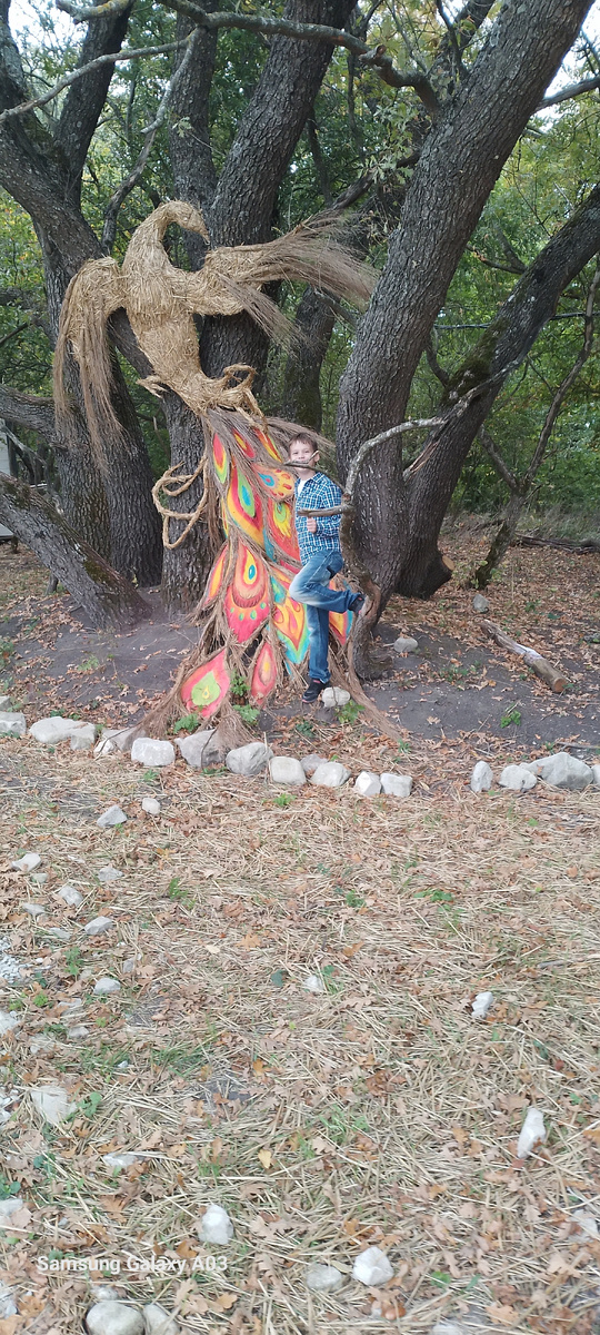  Парк с альпаками очень интересный можно покататься на квадрацыклах и поесть стоит дорого но вкусно есть много животных я с братом ездил ему понравился 