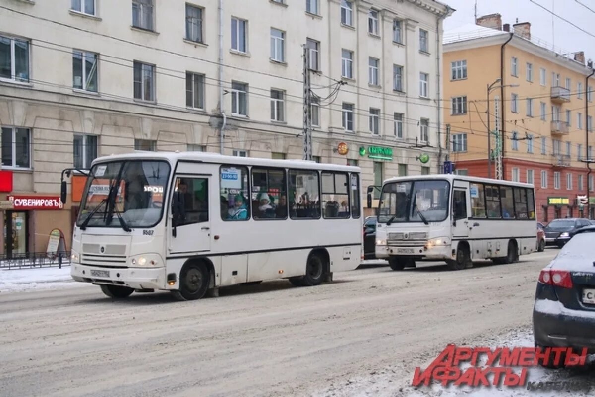   Глава Петрозаводска прокомментировала работу частных перевозчиков