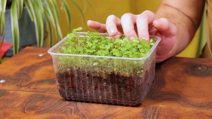 Фото с pinterest.com