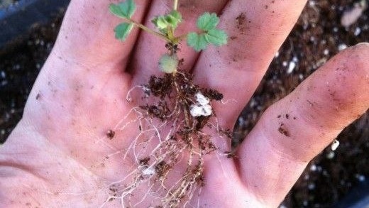 Фото с pinterest.com