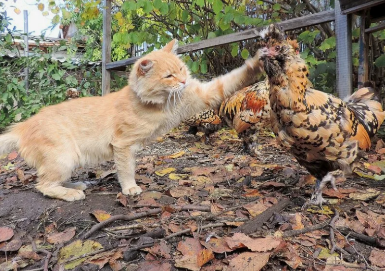 -Уйди, противное созданье!