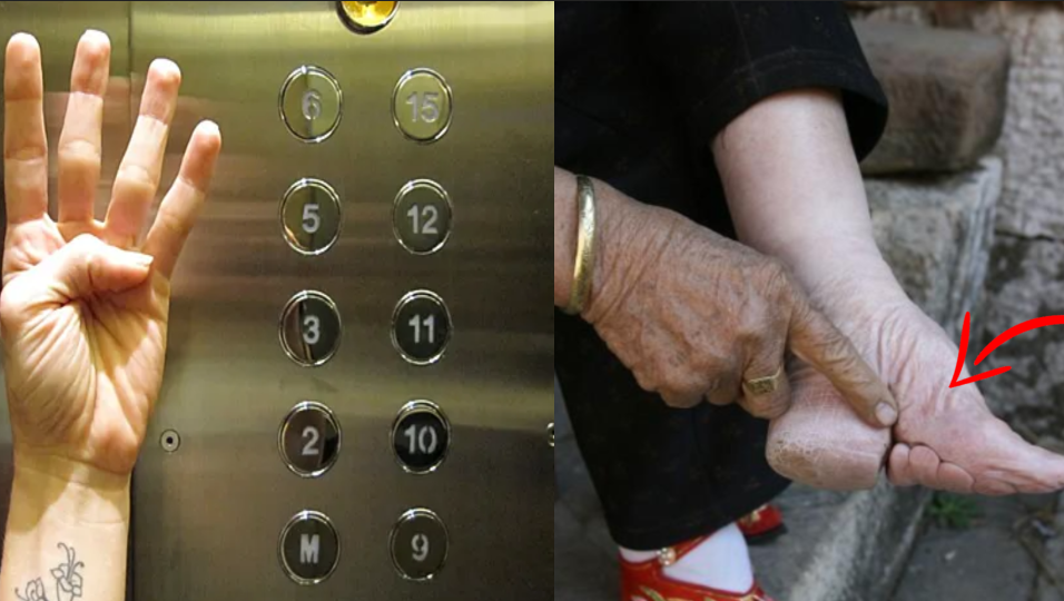 Изображение взято из открытого источника