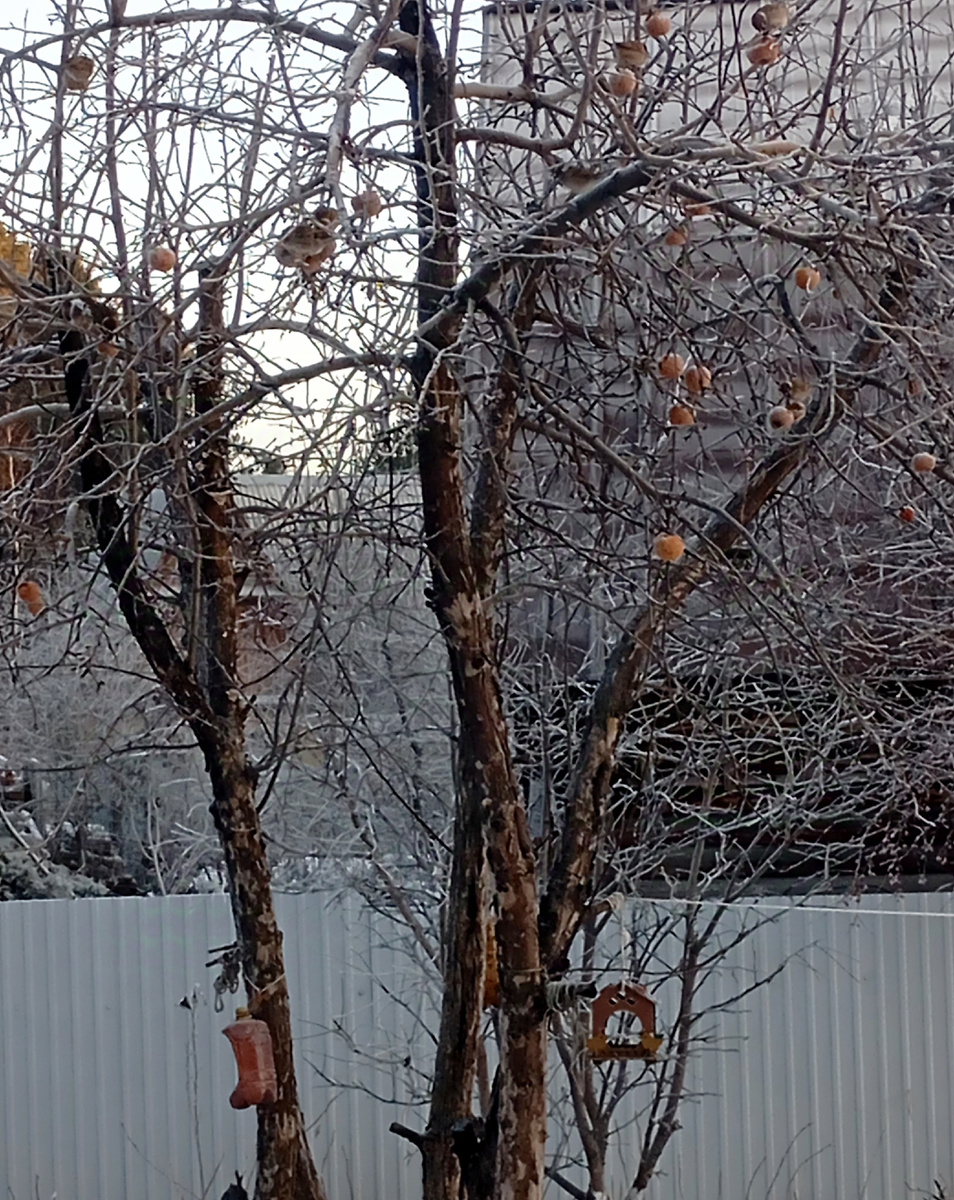 Неужели зима ещё впереди?