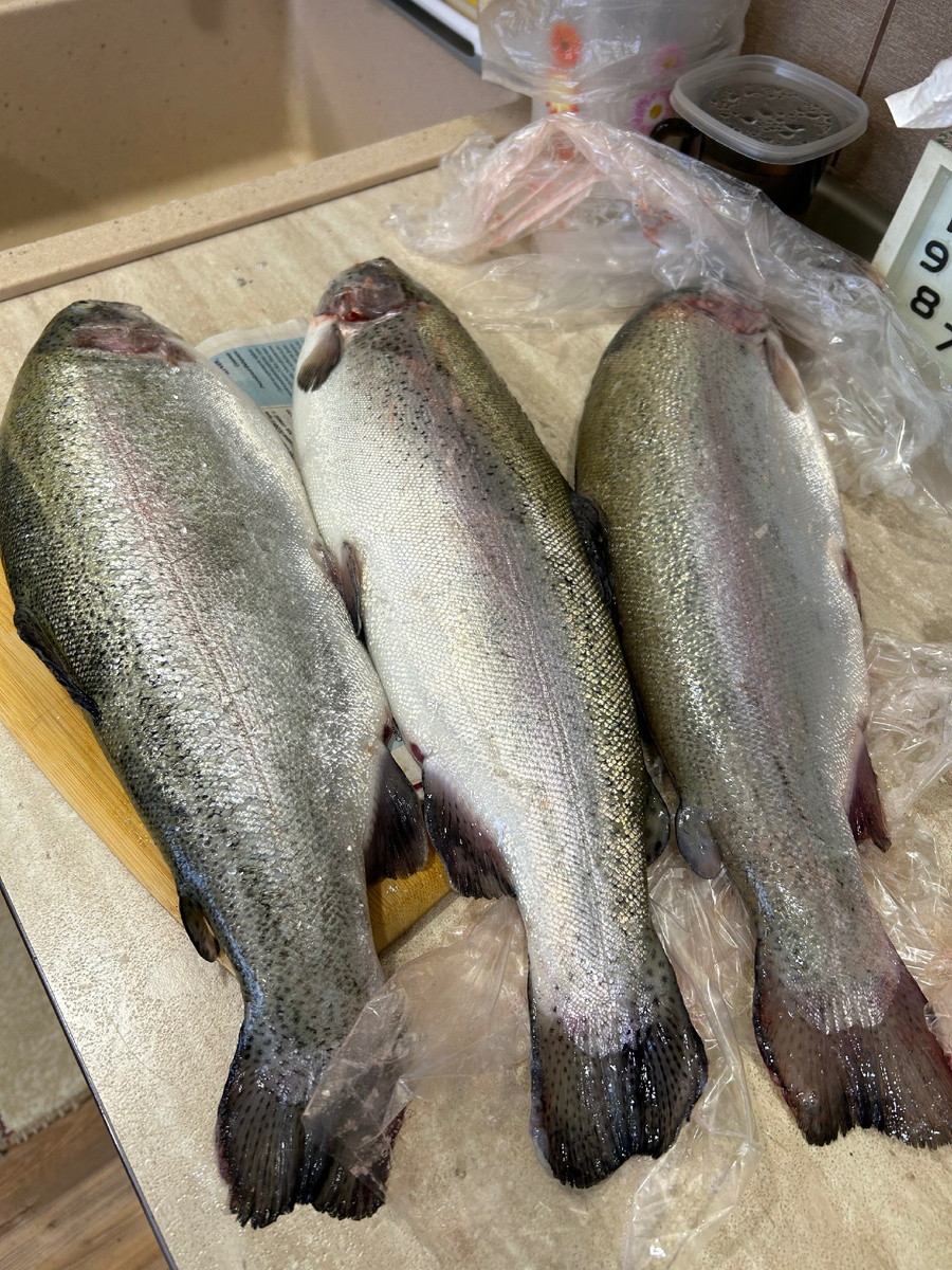 Форель местная