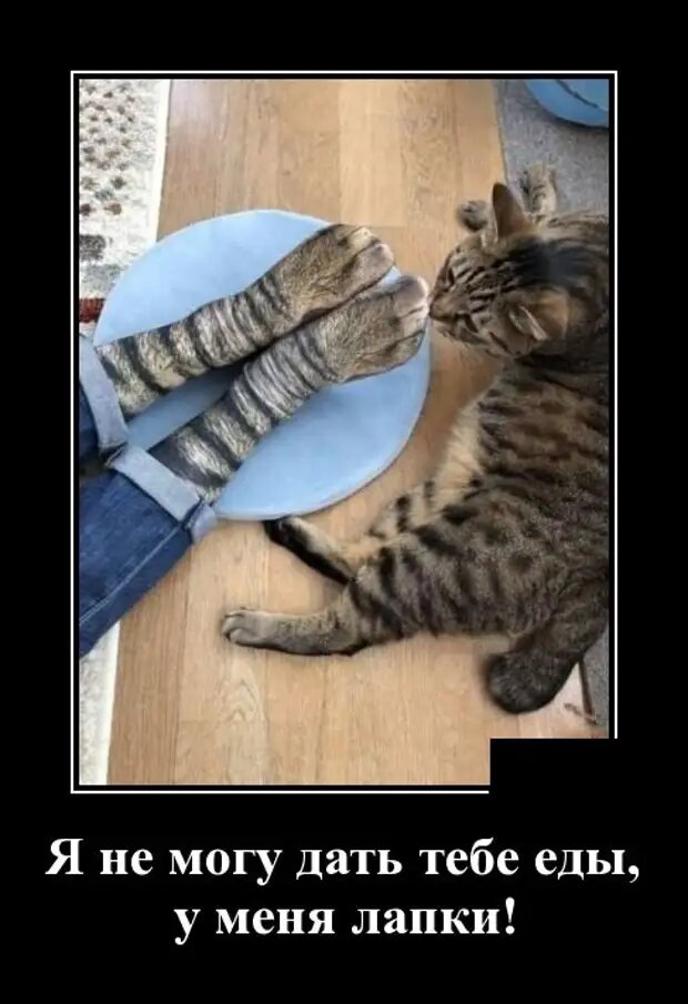 источник Яндекс-картинки