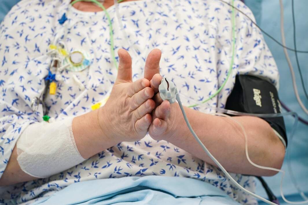 Фото: ИЗВЕСТИЯ/Сергей Лантюхов