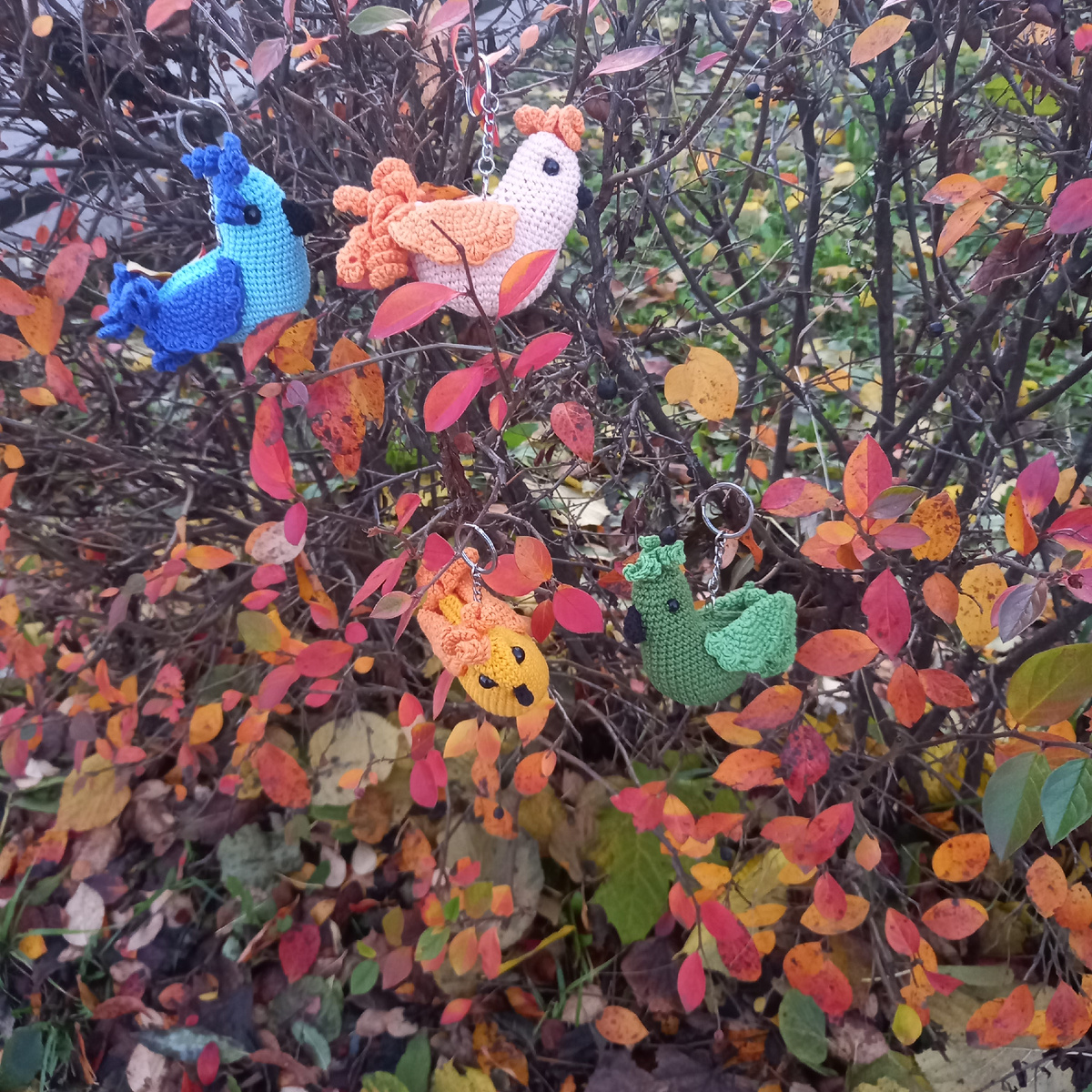 Фото автора канала