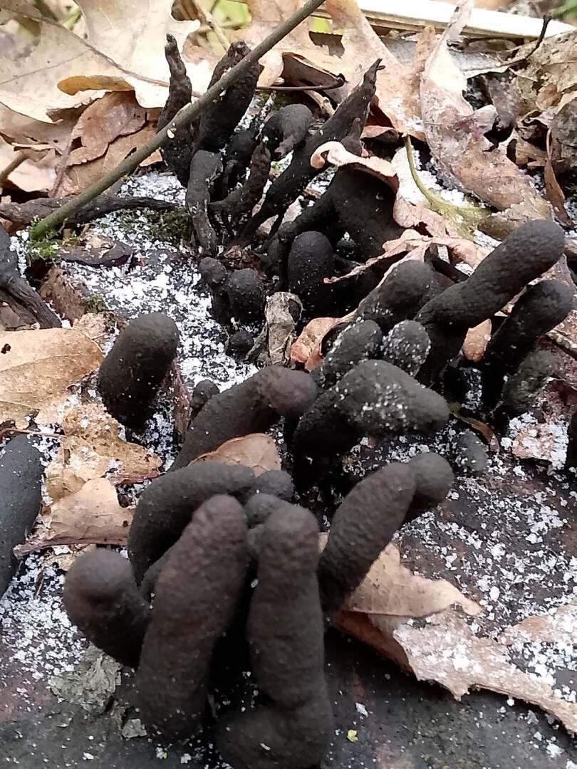    Фото: Наташа Головченко