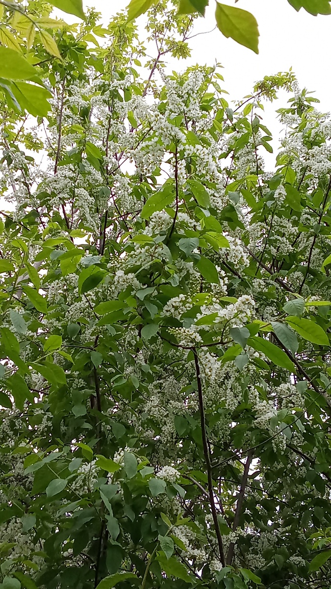 Фото из личного архива автора канала. 