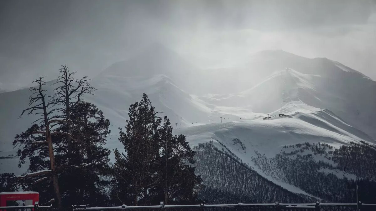     Источник: 1MI