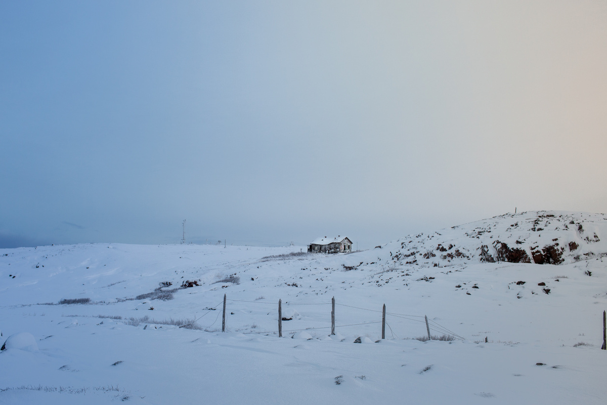 Полярные края всегда кричали: жить здесь нелегко!