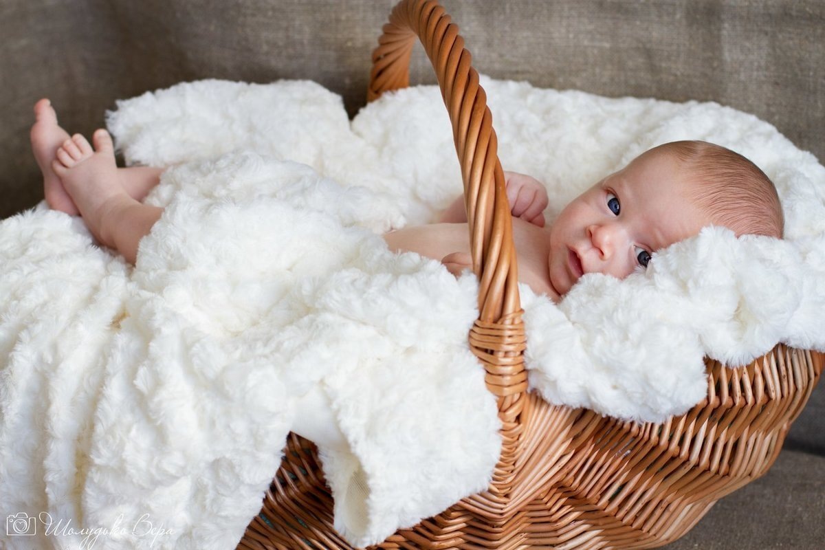 источник фото - dzen.ru