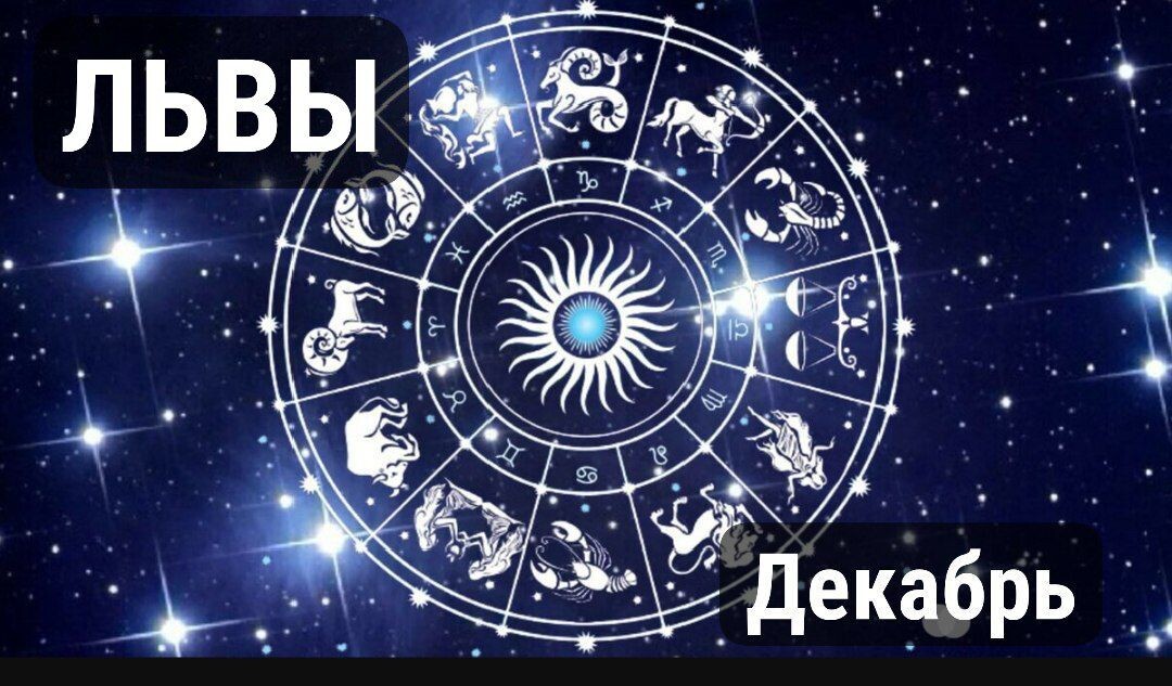 Львы декабрь 2024 