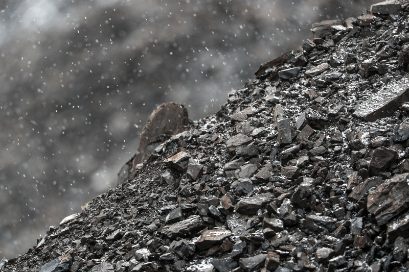    Фото: Bulkin Sergey/Globallookpress