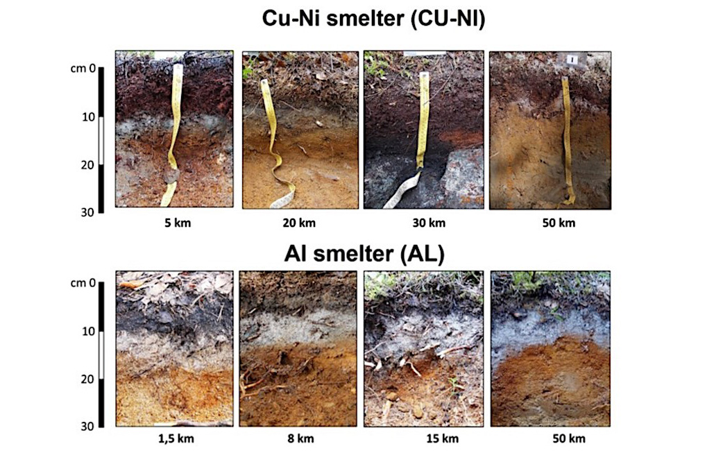 Внешний вид почв, расположенных на разном расстоянии от медно-никелевого и алюминиевого заводов. Источник: Korneykova et al., Geoderma Regional, 2024 / rscf.ru