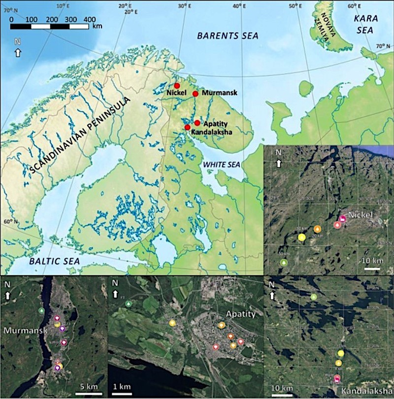 Места сбора образцов почвы. Источник: Korneykova et al., Geoderma Regional, 2024  / rscf.ru