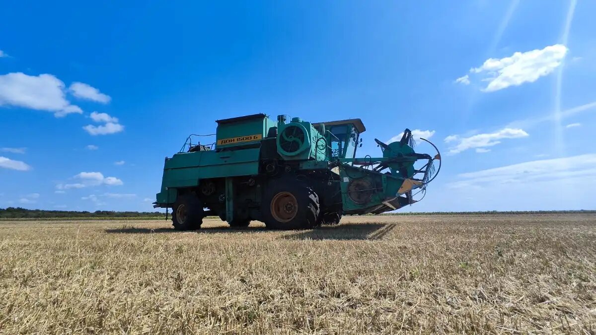 Фото:© Артем Борисов / Glavagronom.ru
Ученые МГУ им. Ломоносова провели региональное и глобальное углеродное моделирование