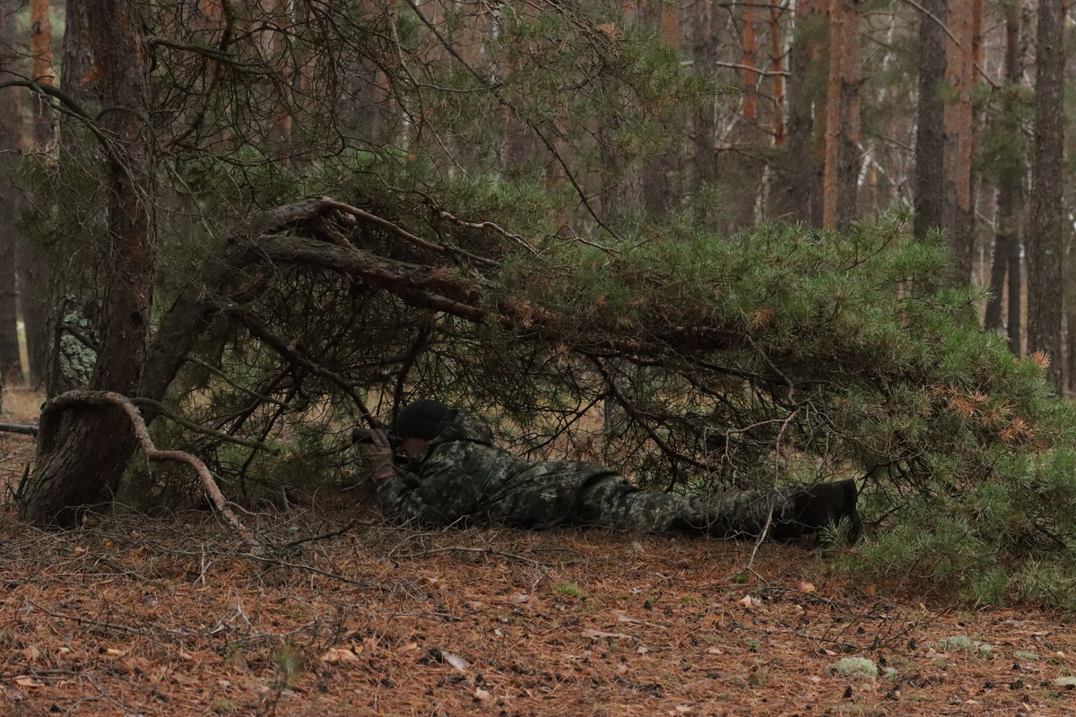 Засидка или залежка в стиле "ниваки" :)