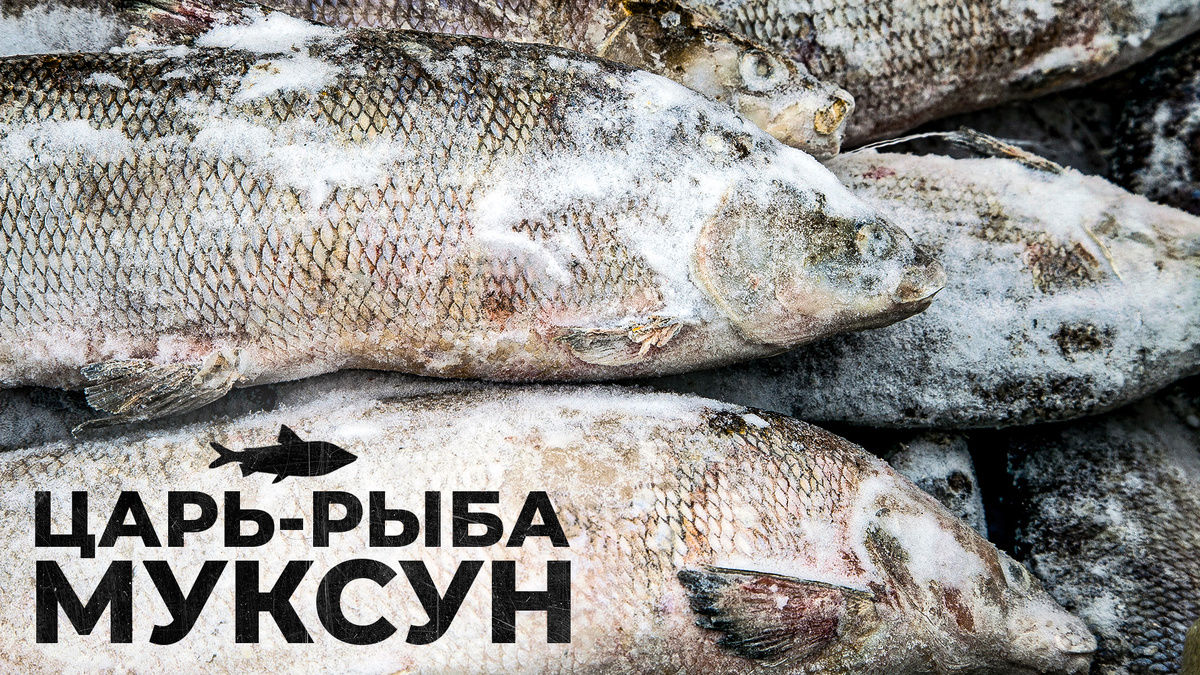 Фото: Evgenii Mitroshin/Shutterstock/Fotodom