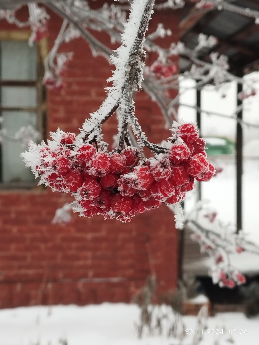С месяц где-то назад позвонила мне приятельница и предложила поздравить нашу ещё одну знакомую по старинке - прислать по почте открытки. Это было интересно, новое да и выбор этого предмета очень широк. И так она звалась Натальей. Красивая, ухоженная женщина, лет так под 35, муж, сын. Я ей иногда гадала на картах, но вот близко общаться не хотелось. Совсем. Наталья была вампиром. Энергетическим. Ей было хорошо, когда другим плохо. Любой скандал и она там. Умела незаметно стравливать людей друг с другом и потом потешаться над ними. Об этом она нам потом писала в чате чуть ли не в лицах. Если честно, я не читала её опусы, но один как то привлек свое внимание. Как то Наталья попала в больницу, ей там вроде полипы удаляли, четыре человека в палате и один туалет. Конечно случился конфликт. Одна из женщин замарала унитаз и не помыла. Другая сделала ей замечание. Первая всё " отмазывалась" плохим зрением, а вторая рекомендовала после каждого посещения туалета тогда мыть за собой. Чем бы это дело закончилось не известно, но вмещалась Наталья. Уж как другие её не заметили, но однажды зайдя в туалет и увидев измазанный калом ободок унитаза, она взяла полотенце слабовидящей и вытерла им все грязное дело. Что там потом началось!? Конфликт перешёл в скандал и даже чуть чуть в драку. Так вот, не любила я ее за эти манипуляции, но открытку всё таки послала. Я же воспитанная. А тут на днях мне та же приятельница звонит и говорит что Наталью машина сбила, насмерть. Как же так? Наверное водитель не справился с управлением? Или она переводила старушку через дорогу? Или спасала бедного щенка? Или котёнка? Нет. Она была пьяна и была вместе с любовником. По дурости выскочила на проезжую часть. Водителю, который её сбил потом даже скорую вызывали. Говорят о мертвых надо говорит либо хорошо, либо ничего. Но мало кто знает продолжение этой фразы - ...ничего кроме правды. Она была дрянь человек, а открытка, представляете, ко мне сегодня вернулась обратно.