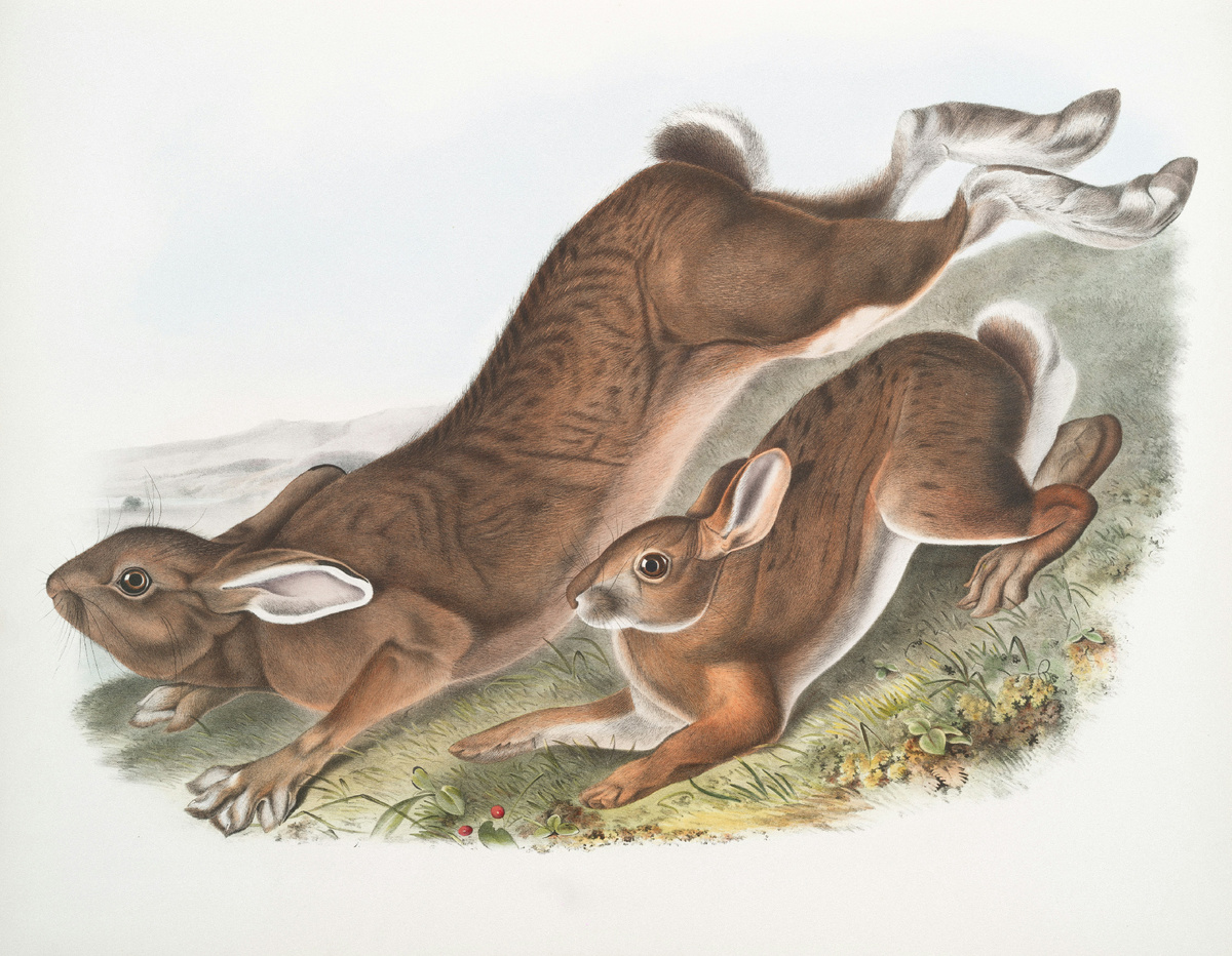 Photo by The New York Public Library on Unsplash