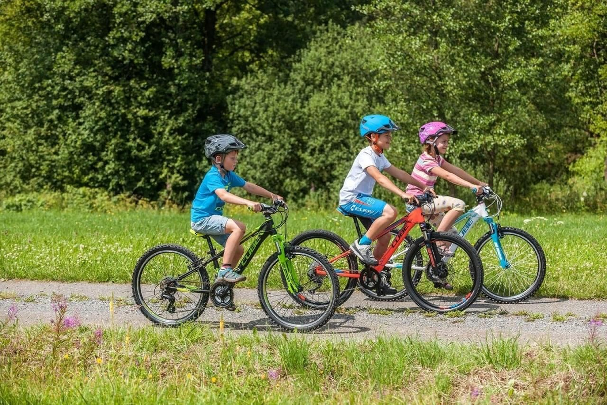 Изображение взято из открытых источников 