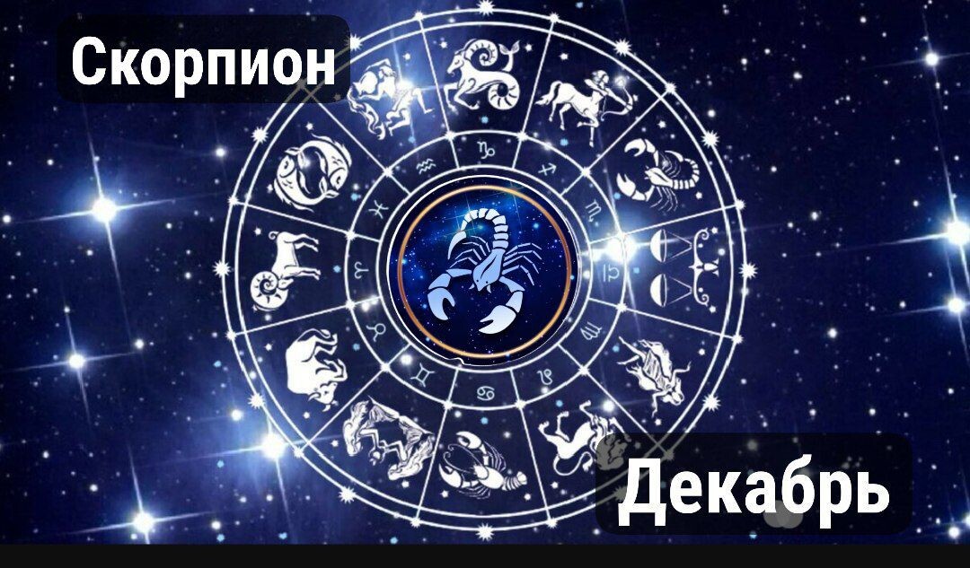 Скорпион на декабрь 2024г