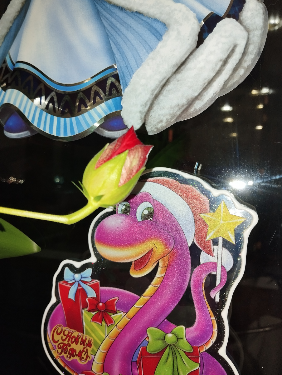 В отличии от цветущей чайной розы на моём окне, я напоминаю себе цветочек очень такой вяленький 