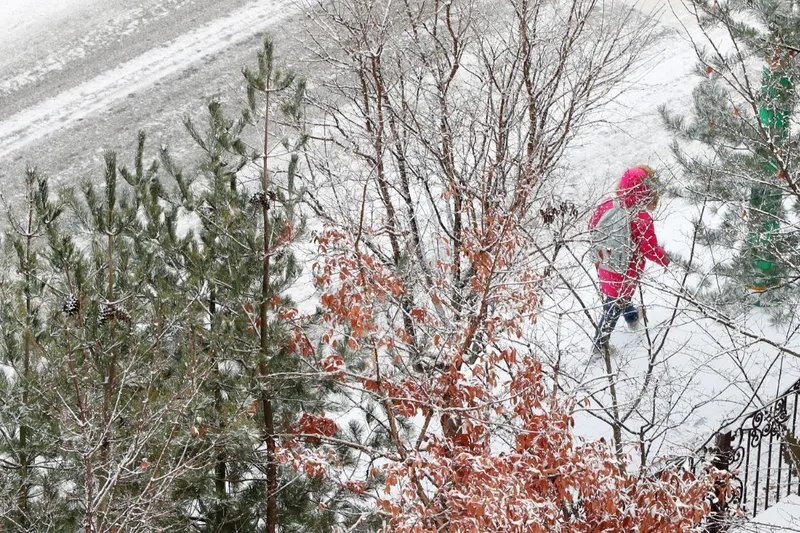 Путешествие по Южной Корее декабрь