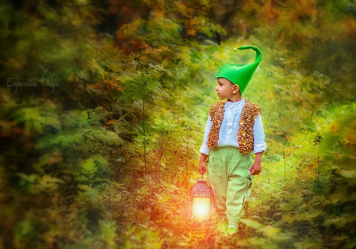 Лесной гном