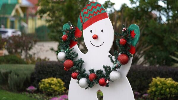    © РИА Новости . Артур Лебедев