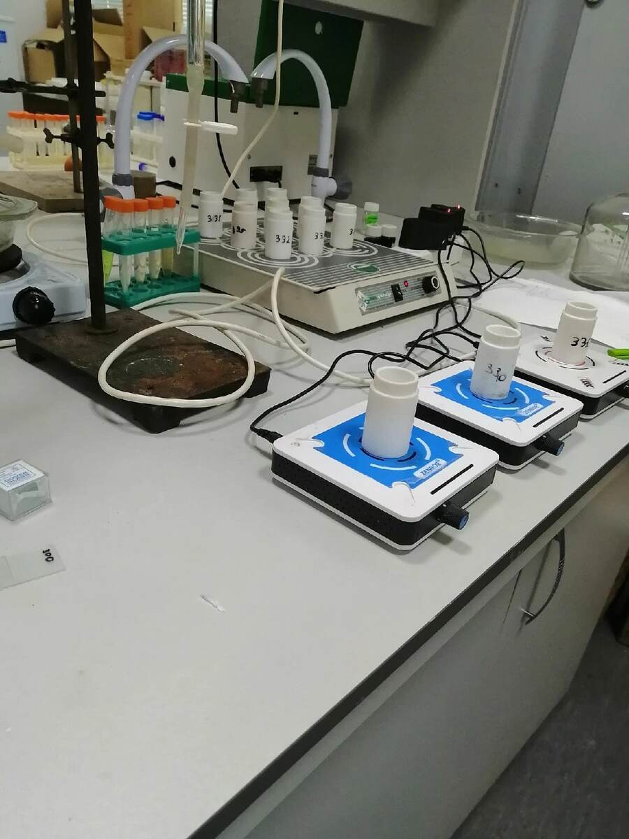 Фото из личного архива