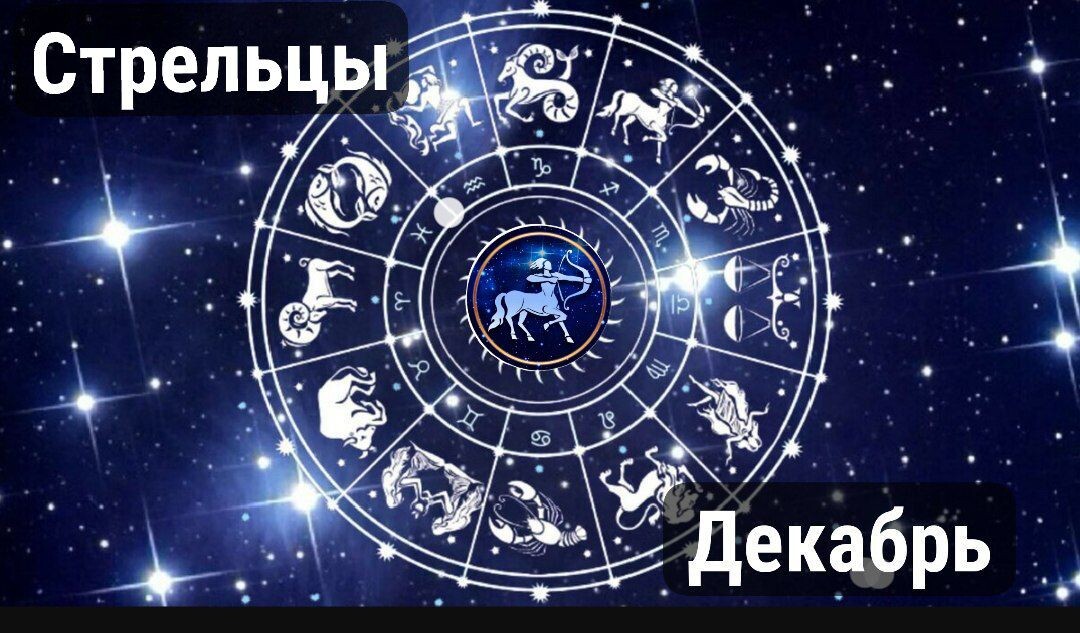 Стрельцы на декабрь 2024г.