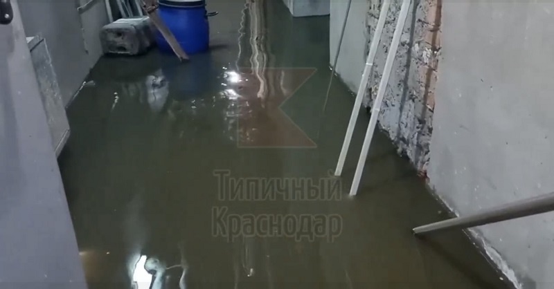    Фото: телеграм-канал Типичный Краснодар