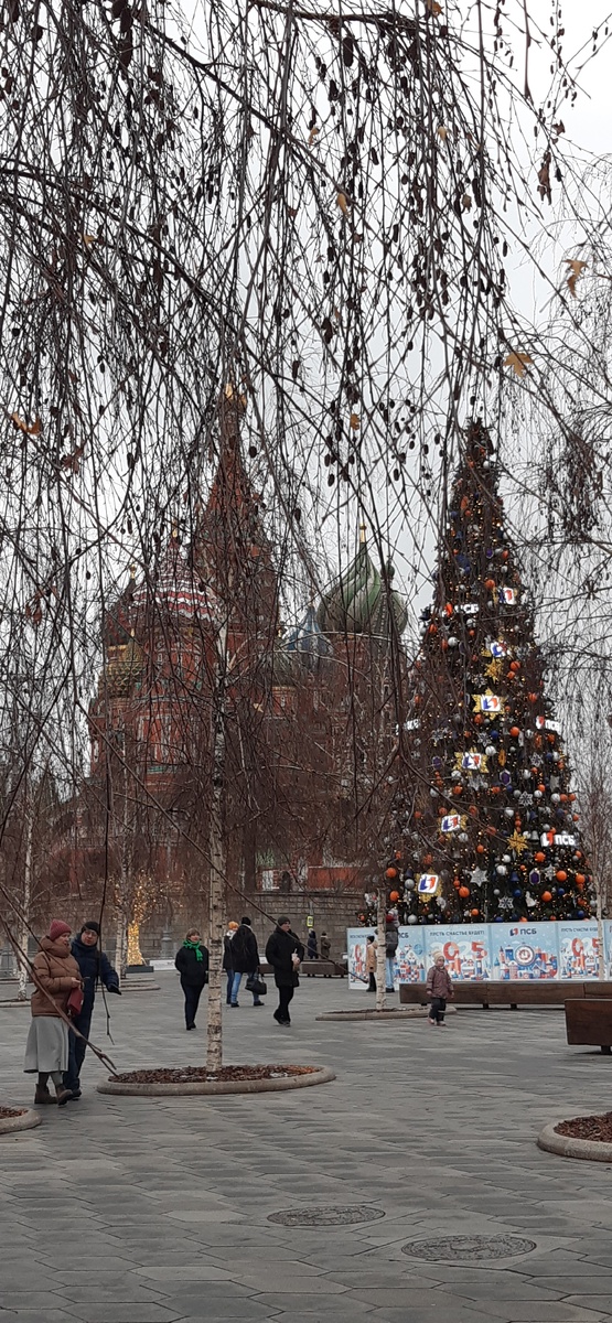 Предзимье в Зарядье.