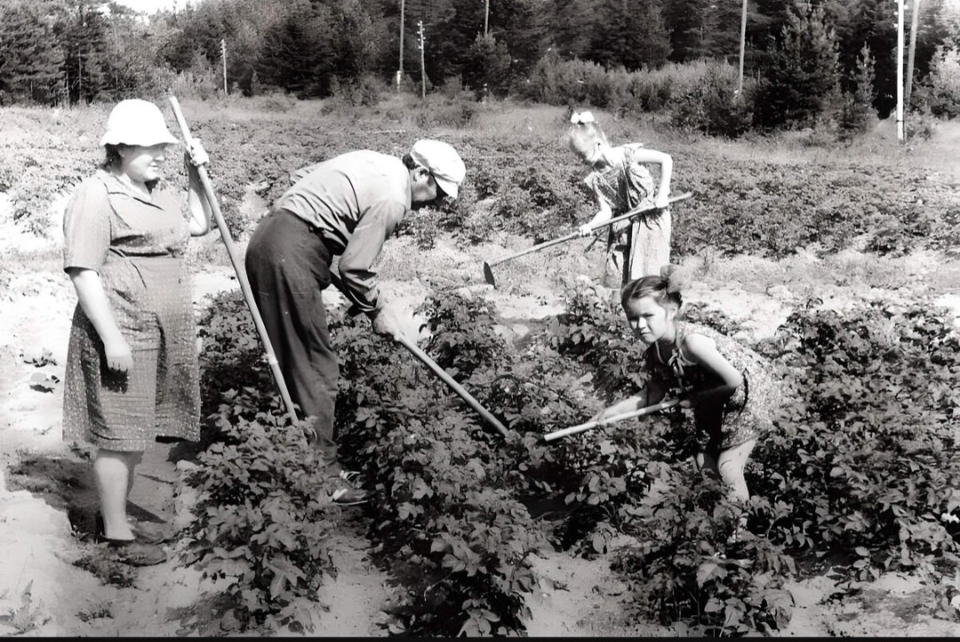 Фото из интернета для иллюстрации.