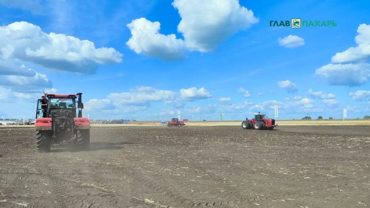 Фото: © Артем Борисов / Glavpahar.ru
Фотография носит иллюстративный характер