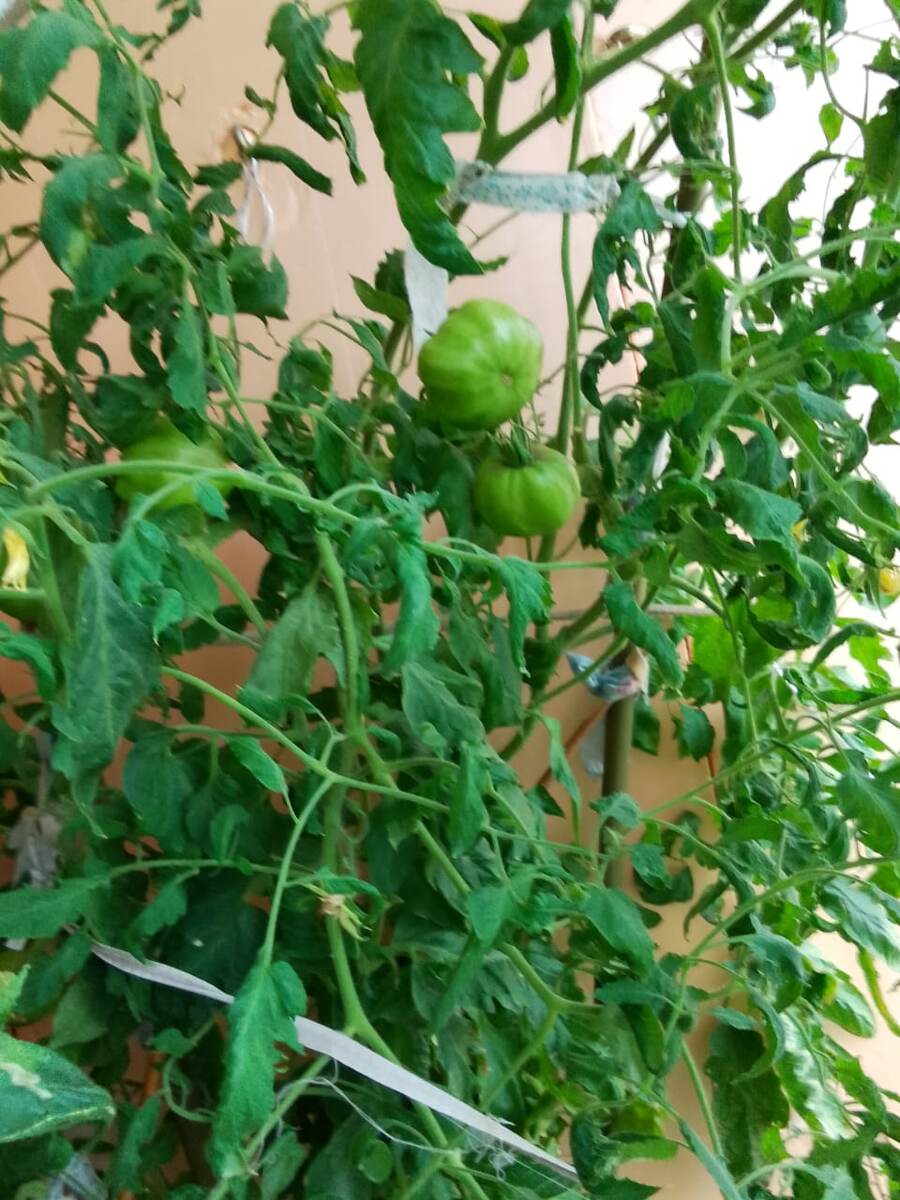 Фото подписчицы Галины