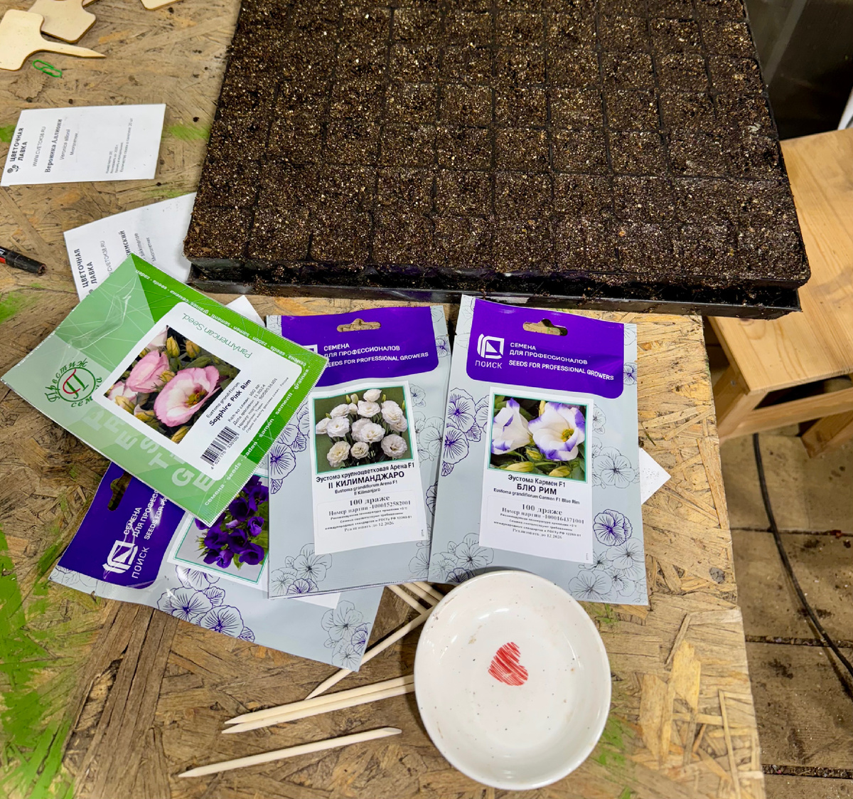 Профсемечки эустом