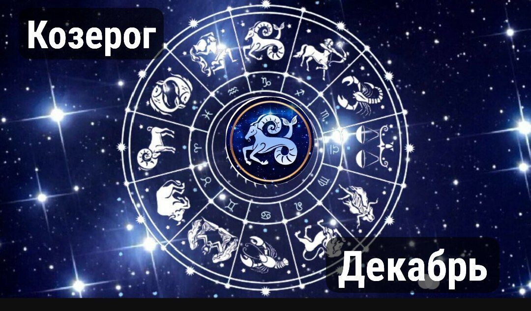 Козерог на декабрь 2024 г.