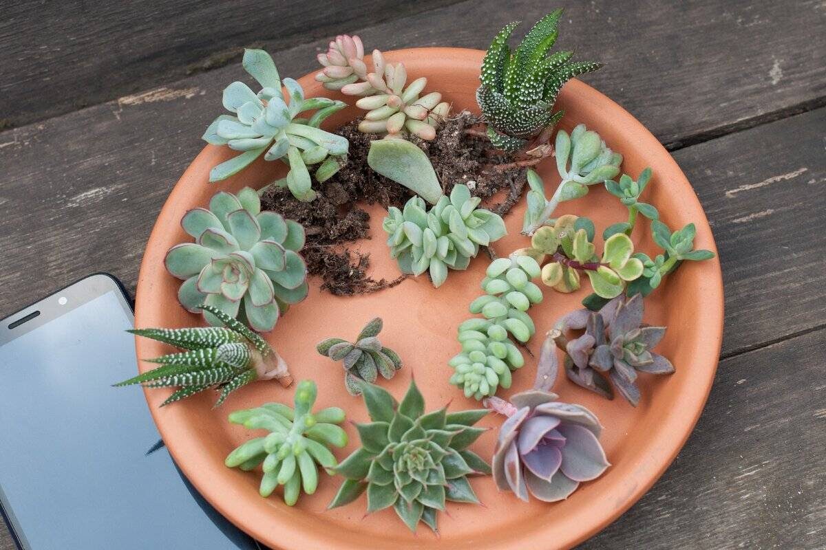 Источник Яндекс Картинки