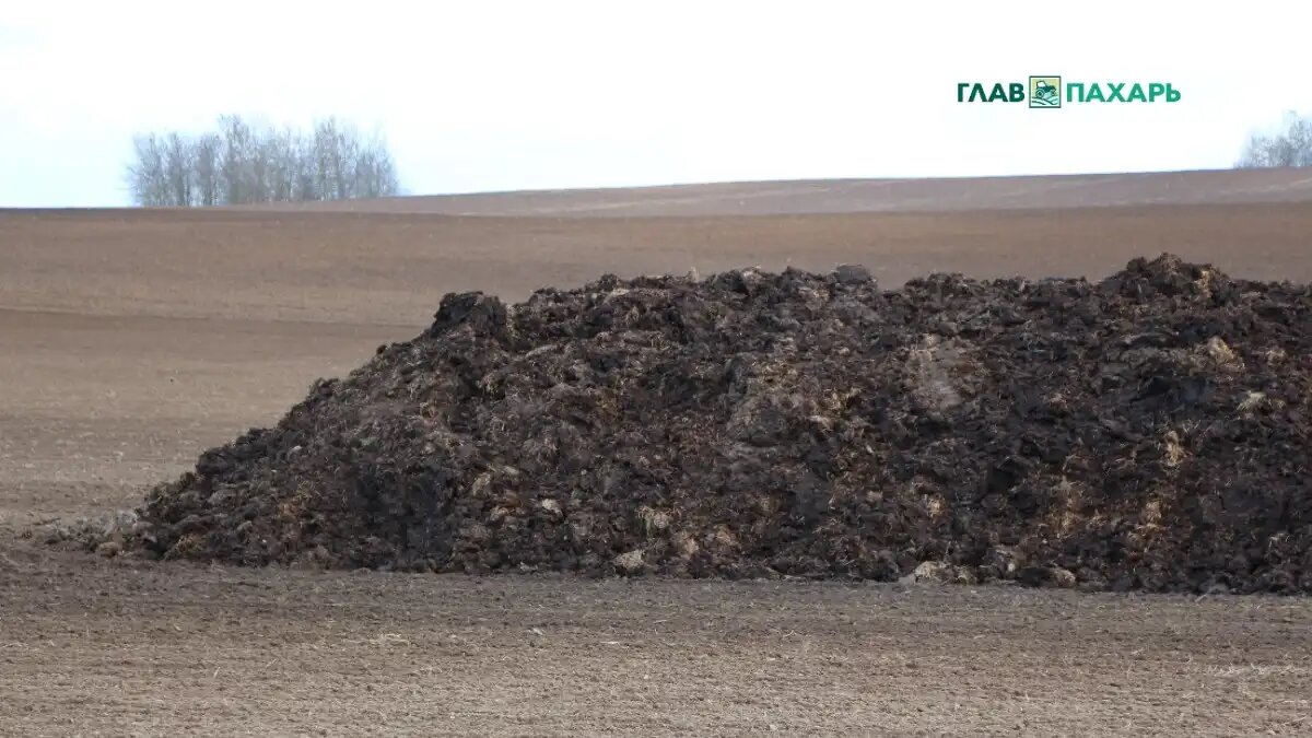 Фото: © Владимир Исаенко / Glavpahar.ru
Навоз в поле (фотография носит иллюстративный характер)
