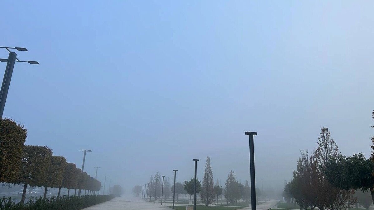    Фото: телеканал «Краснодар»