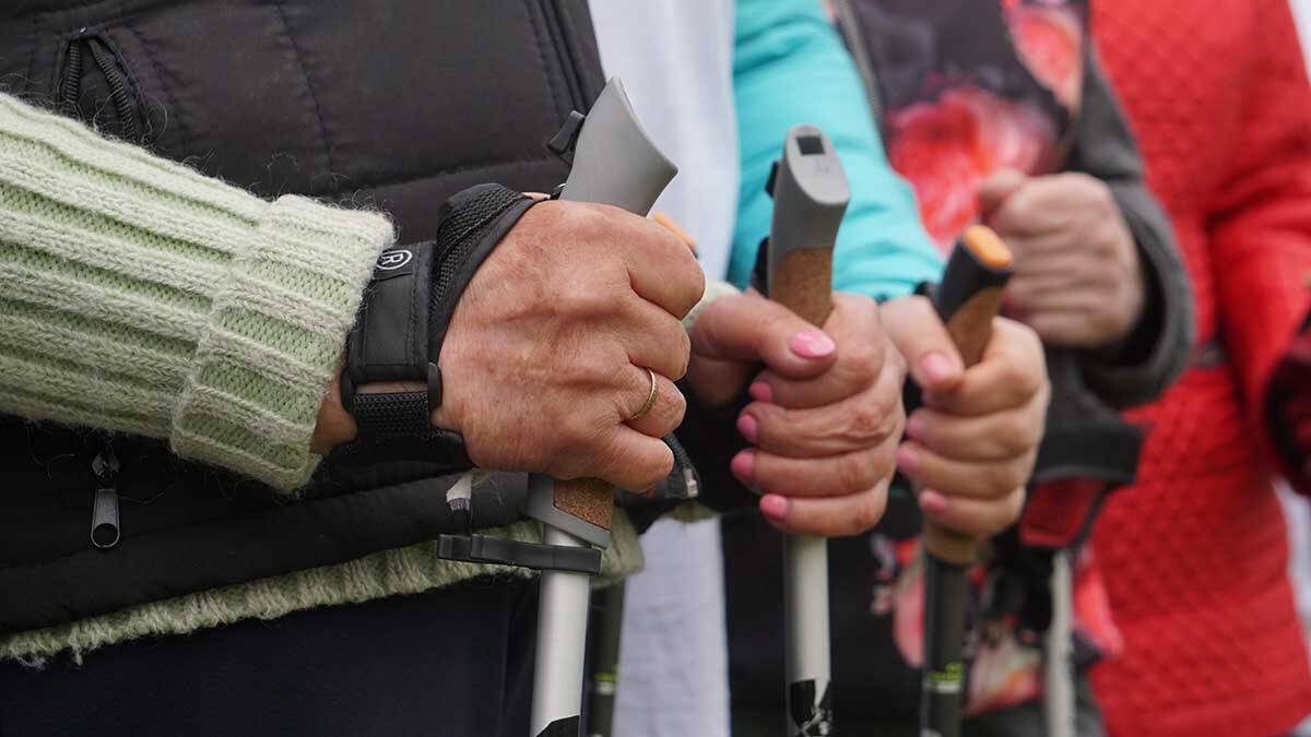    Фото: Анатолий Цымбалюк / Вечерняя Москва