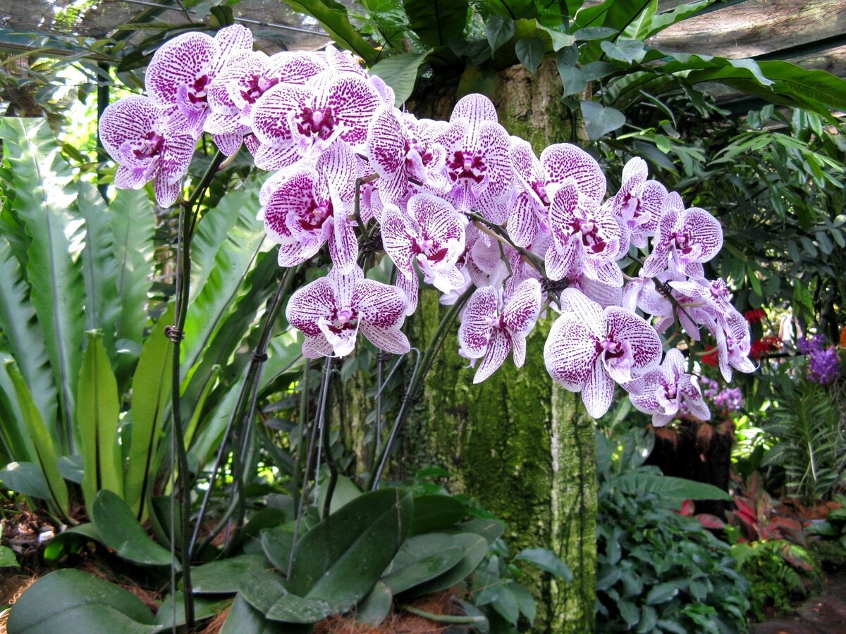 Источник Яндекс Картинки